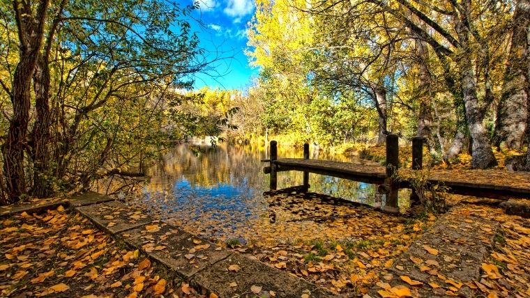 Bosque finlandés en otoño, Madrid